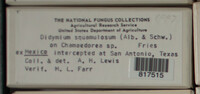 Image Associated With the Occurence